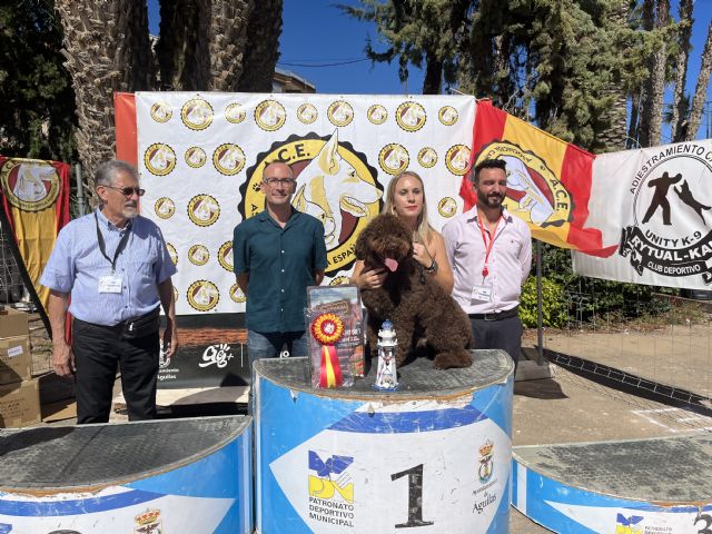 Gran afluencia de público en el Campeonato de España de Belleza Canina - 1, Foto 1