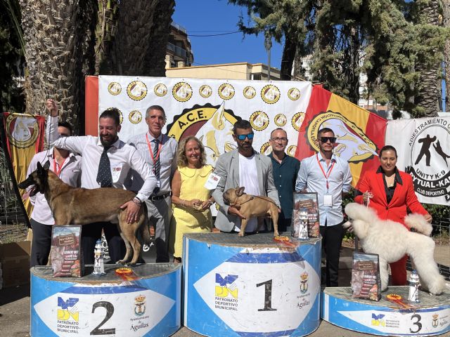 Gran afluencia de público en el Campeonato de España de Belleza Canina - 2, Foto 2