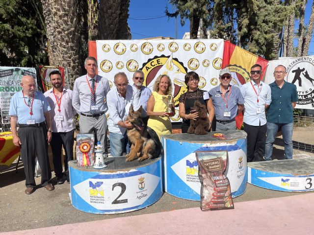Gran afluencia de público en el Campeonato de España de Belleza Canina - 3, Foto 3
