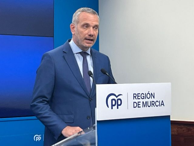 El PP denuncia que el PSOE ha pagado con dinero público más de 160.000 euros a la empresa que sostiene al pseudomedio que ataca al Partido Popular - 1, Foto 1