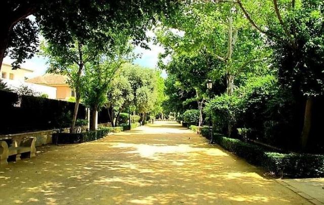 El Ayuntamiento de Lorca informa de un tratamiento contra la cochinilla en distintas zonas verdes de la ciudad - 1, Foto 1
