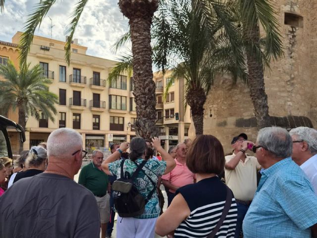 Los mayores torre&ntilde;os celebran su día con una jornada de convivencia y turismo en Elche - 4, Foto 4