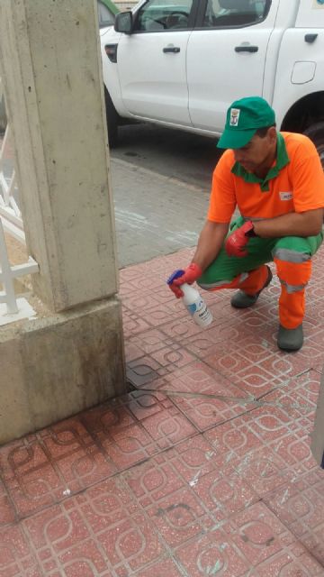 El Ayuntamiento pone a prueba un producto que repele la orina de los perros de fachadas y mobiliario urbano - 1, Foto 1