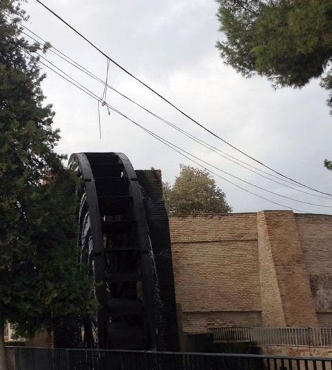 Cs exige la recuperación inmediata del entorno abandonado de la Rueda de La Ñora tras años de promesas incumplidas - 2, Foto 2