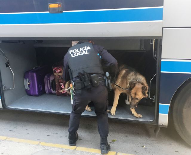 Anuncian el levantamiento de 63 actas-denuncias por tenencia y consumo de drogas - 1, Foto 1