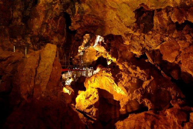 Viaje cultural al yacimiento paleontolgico de La Cueva Victoria de Cartagena, Foto 3