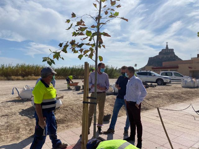 Desarrollo Urbano instala un novedoso sistema para evitar que las raíces levanten las aceras de las calles - 1, Foto 1