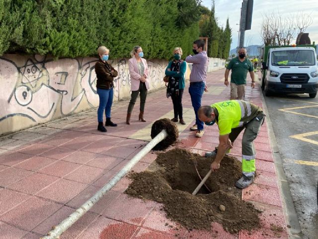 La calle Pintor Almela Costa de El Infante gana sombra natural gracias a la plantación de 14 almeces - 1, Foto 1