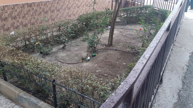 El PP exige una actuación de choque entre las calles Abenhalaj y avenida de Portugal, limpiando y desinfectando las aceras y el ejemplar de ficus - 1, Foto 1