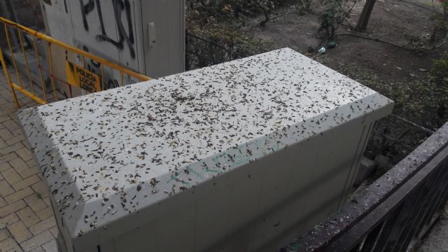 El PP exige una actuación de choque entre las calles Abenhalaj y avenida de Portugal, limpiando y desinfectando las aceras y el ejemplar de ficus - 4, Foto 4