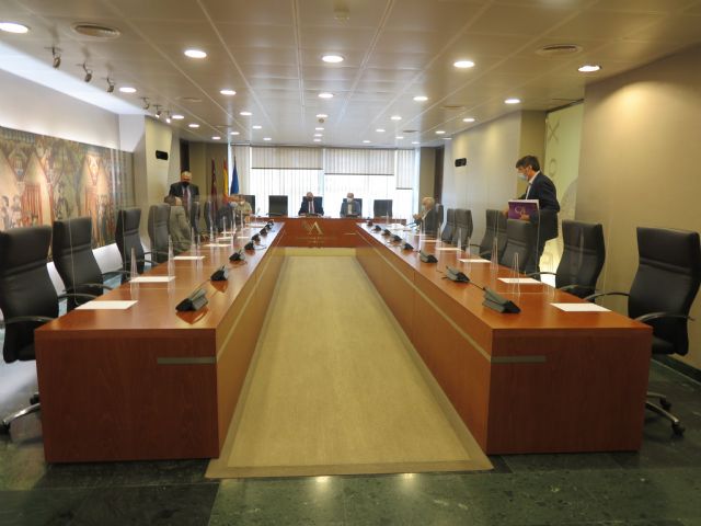 Pleno de impulso al Gobierno con cinco mociones - 1, Foto 1