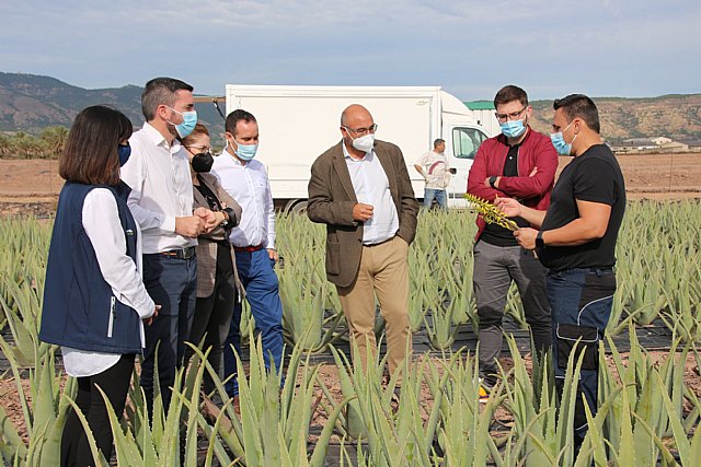 Visita a Lexportia Bio, una finca ecolgica dedicada a la produccin de aloe vera en Alhama de Murcia, Foto 1