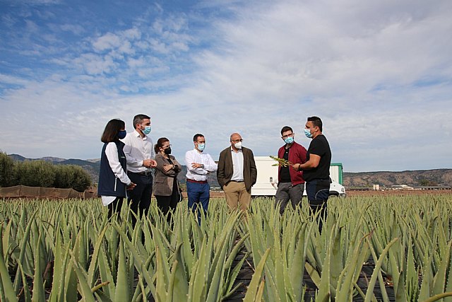 Visita a Lexportia Bio, una finca ecolgica dedicada a la produccin de aloe vera en Alhama de Murcia, Foto 2