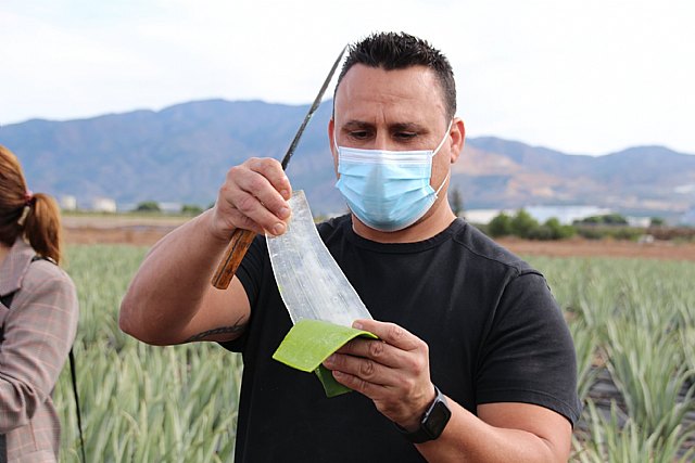 Visita a Lexportia Bio, una finca ecolgica dedicada a la produccin de aloe vera en Alhama de Murcia, Foto 3
