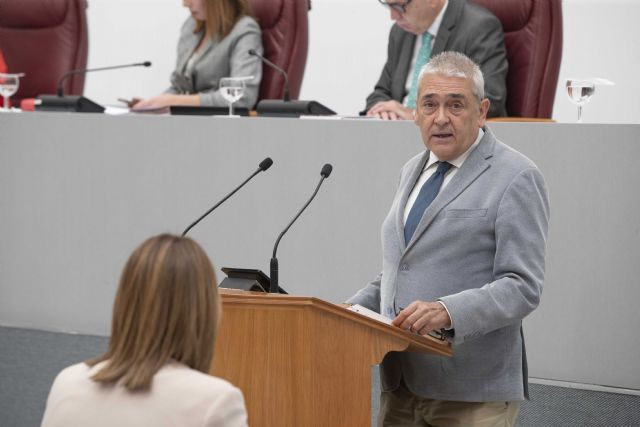 El grupo parlamentario liberal impulsa el proyecto de Ley de Emergencias y Protección Civil “necesario para la Región” - 1, Foto 1