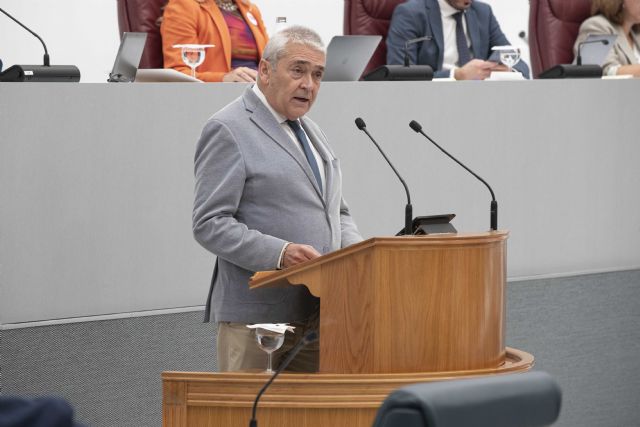 El grupo parlamentario liberal impulsa el proyecto de Ley de Emergencias y Protección Civil “necesario para la Región” - 2, Foto 2