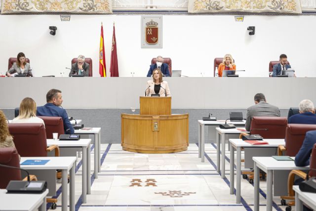 El proyecto de Ley de Emergencias y Protección Civil inicia su trámite en la Asamblea - 1, Foto 1