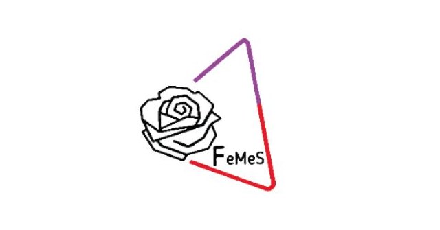 Comunicado de FeMeS a las enmiendas del PSOE al proyecto de “Ley Trans” - 1, Foto 1