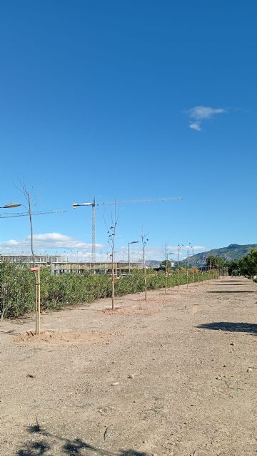 El Plan Foresta llega a El Palmar con una actividad colectiva con los vecinos para crear un nuevo bosque urbano en la pedanía - 3, Foto 3