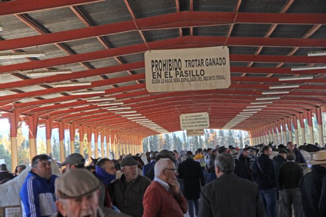 Casi 400 ejemplares en la Feria de Ganado Equino de Puerto Lumbreras - 1, Foto 1