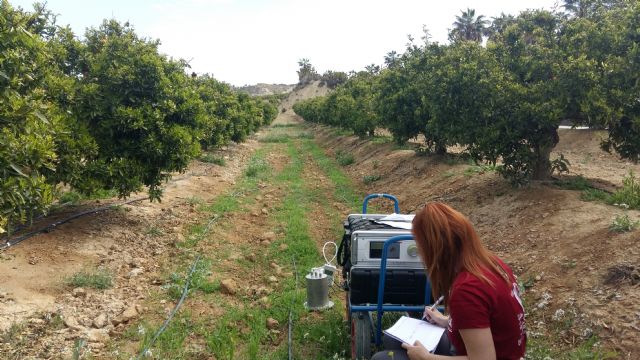 Investigadores de la UPCT reducen un 10% las emisiones de CO2 de almendros y cítricos con prácticas sostenibles - 1, Foto 1