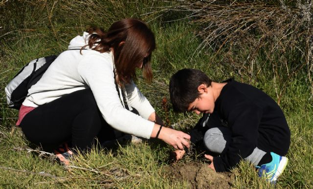 Jornada de reforestación en Calasparra. - 4, Foto 4