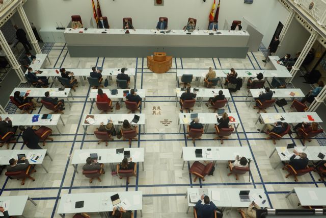 La Asamblea Regional aprueba una declaración institucional con motivo del día internacional y europeo de las personas con discapacidad - 1, Foto 1