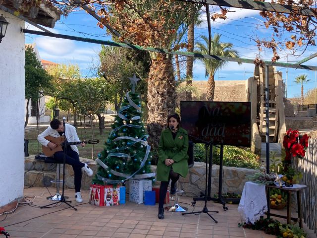 Concursos, música, teatro, artesanía y actividades en streaming en la programación para Navidad 2020 - 1, Foto 1