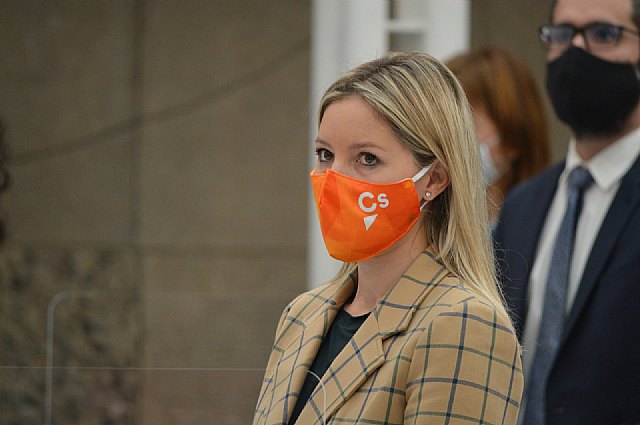 Ciudadanos apuesta por unos presupuestos volcados en los sectores más golpeados por la pandemia y la vuelta a la presencialidad en la educación - 1, Foto 1