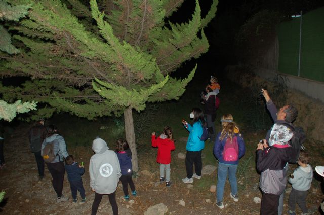 Ecologistas en Accion organiza un año mas los muestreos de camaleones en El Valle-Carrascoy - 3, Foto 3