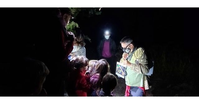 Ecologistas en Accion organiza un año mas los muestreos de camaleones en El Valle-Carrascoy - 1, Foto 1