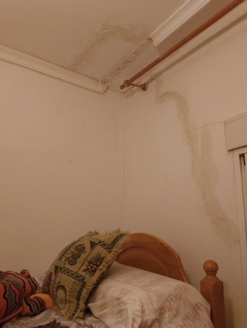 IU-Verdes Lorca pide que se realice un estudio hidrotécnico para determinar el origen de la inundación de viviendas en los Barrios Altos - 3, Foto 3