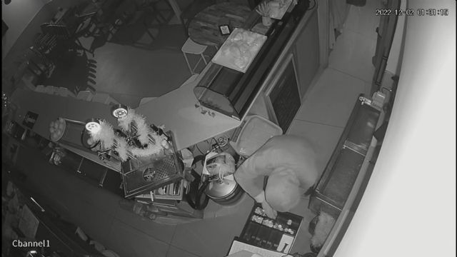 La oleada de inseguridad y robos se ceba con el casco histórico sumando dos nuevos saqueos en un establecimiento de alimentación y una cafetería - 1, Foto 1