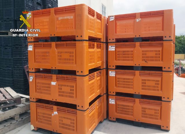 La Guardia Civil desmantela un activo grupo criminal dedicado al robo en fincas agrícolas de la comarca del Río Mula - 2, Foto 2