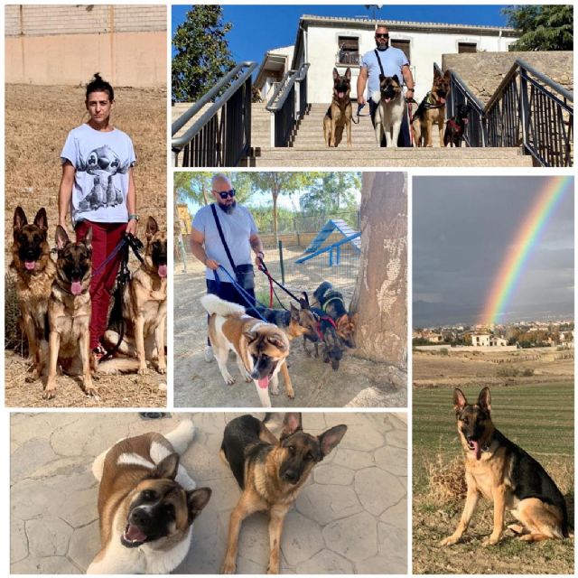 Nuestros peluditos y Armando; una ventana a la inocencia comprendida - 1, Foto 1