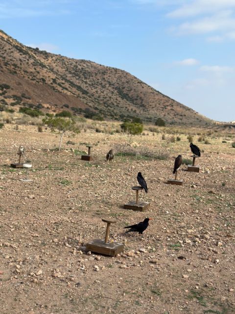 Los más pequeños, los más concienciados con la importancia de cuidar nuestro medio ambiente - 1, Foto 1