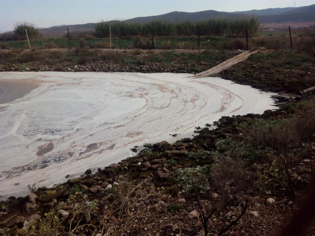 IU-Verdes Lorca denuncia un nuevo vertido ilegal de purines y exige la reapertura de las plantas de tratamiento - 1, Foto 1