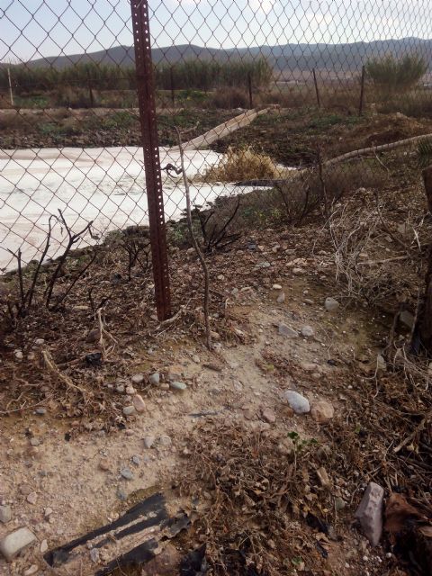 IU-Verdes Lorca denuncia un nuevo vertido ilegal de purines y exige la reapertura de las plantas de tratamiento - 2, Foto 2