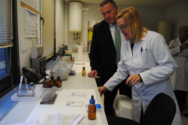 La Delegación del Gobierno reduce a un mes el plazo de destrucción de las drogas incautadas por las Fuerzas y Cuerpos de Seguridad del Estado - 1, Foto 1
