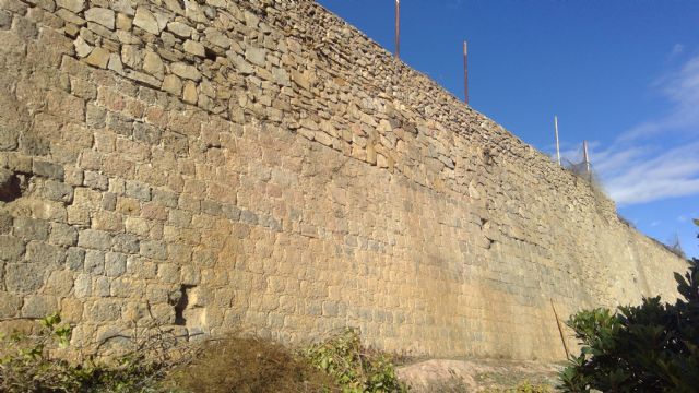 Patrimonio Arqueológico ejecuta la limpieza de vegetación del Baluarte 24 de la Muralla de Carlos III - 2, Foto 2