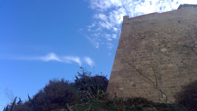 Patrimonio Arqueológico ejecuta la limpieza de vegetación del Baluarte 24 de la Muralla de Carlos III - 3, Foto 3