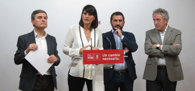 El PSOE presenta más de mil iniciativas en el Congreso y el Senado en defensa de los intereses de la Región de Murcia, frente al abandono del PP - 4, Foto 4