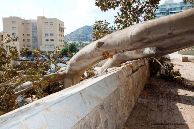 El área de Cultura y Patrimonio Arqueológico de Ricardo Segado concluye los trabajos de restauración del pretil original de la muralla de Carlos III - 2, Foto 2