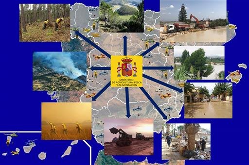 Se aprobaron en 2019 inversiones por 10 millones de euros para recuperar los montes tras los daños ocasionados por incendios forestales y la DANA - 1, Foto 1