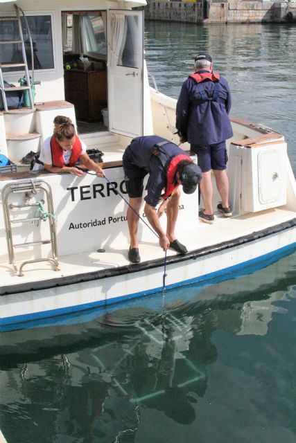 Los expertos confirman la mejora de la calidad de las aguas en el Puerto de Cartagena - 2, Foto 2