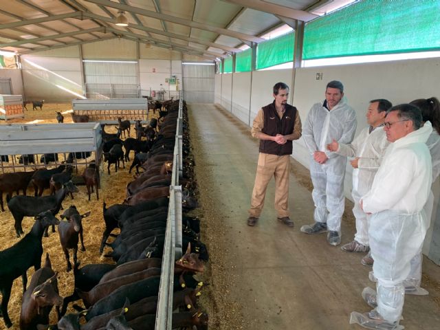 El Ejecutivo regional exige al Gobierno de España aplicar a la carne, el pescado y conservas la bajada del IVA por ser productos de primera necesidad - 1, Foto 1