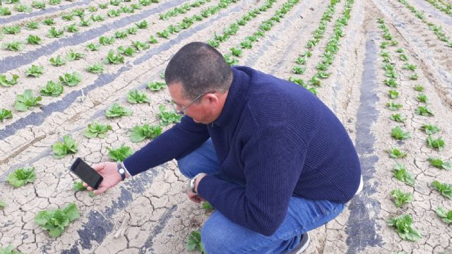 Investigadores y empresas crean la plataforma Genhidro para facilitar una fertirrigación precisa - 1, Foto 1