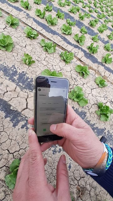 Investigadores y empresas crean la plataforma Genhidro para facilitar una fertirrigación precisa - 3, Foto 3