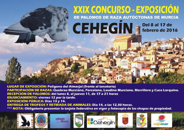 Llega a Cehegín  el XXIX Concurso- Exposición de Palomos de Razas Autóctonas de Murcia - 1, Foto 1