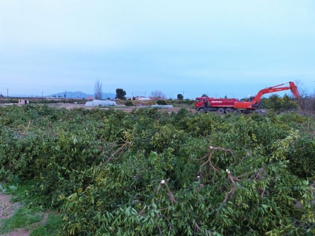 Huerta Viva convoca a los vecinos afectados por la autovía del Reguerón - 1, Foto 1
